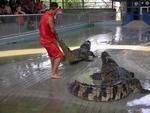 Таиланд, Шоу крокодилов и парк камней