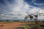 Национальный парк найроби.