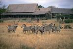 Кения, Национальный парк тсвао.