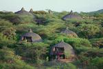 Танзания, Национальный парк серенгети.