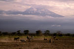 Танзания, Национальный парк руаха.
