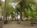 Коста-Рика, Остров кокос или остров сокровищ.