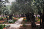 Израиль, Гефсиманский сад