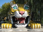 Китай, Парк тигров