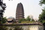 Китай, Малая пагода дикого гуся